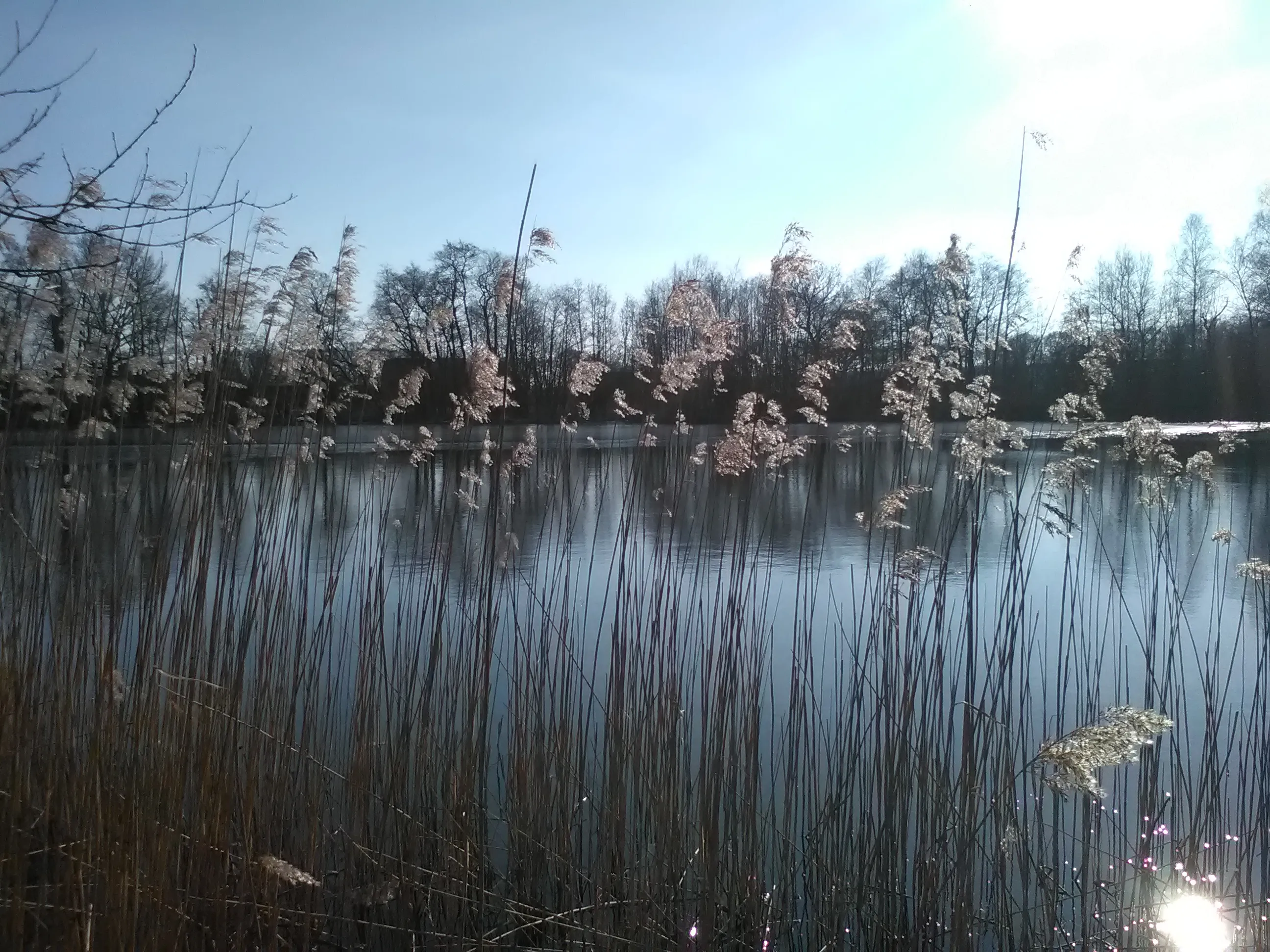 20180223 kreelseplas nc veluwe