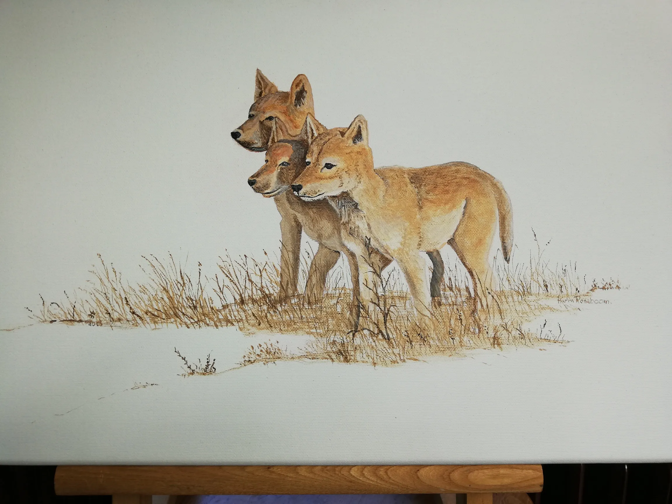 20211008 expositie harm roseboom sr wolf 01