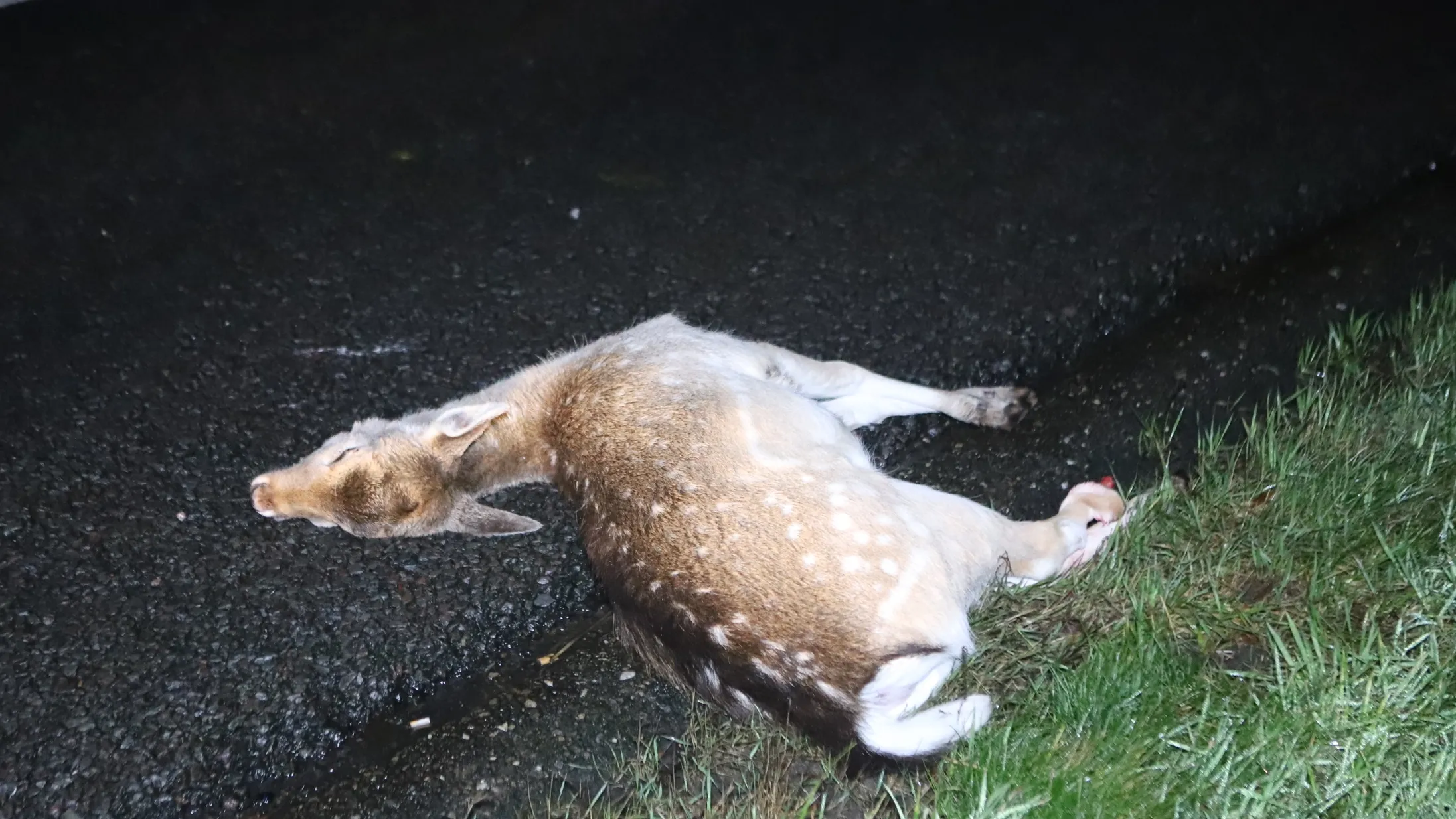 20220112015508 img 4322 1