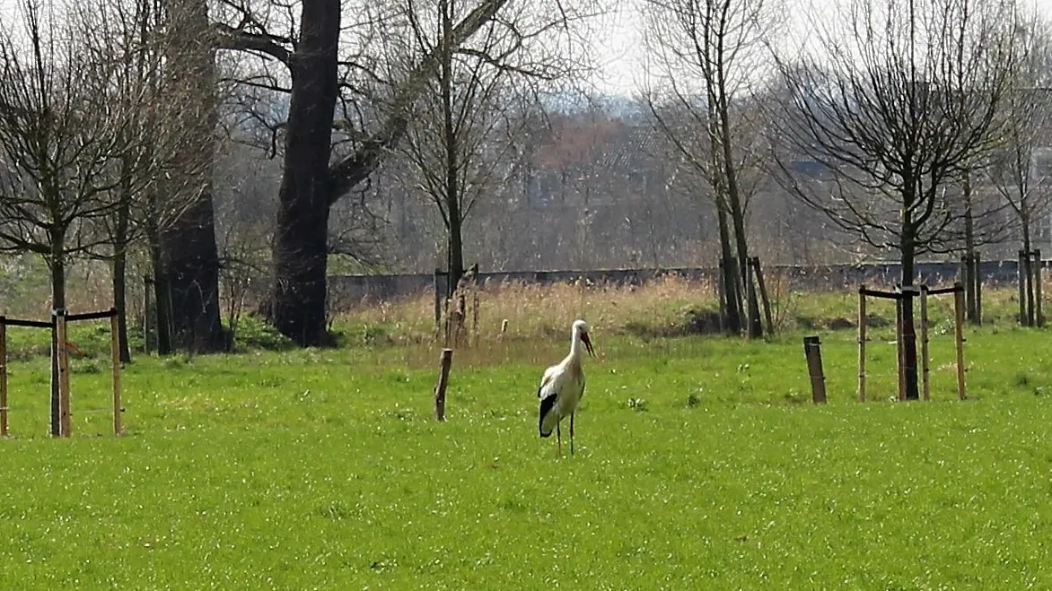 264031675 467264531407068 5776314797891809744 n