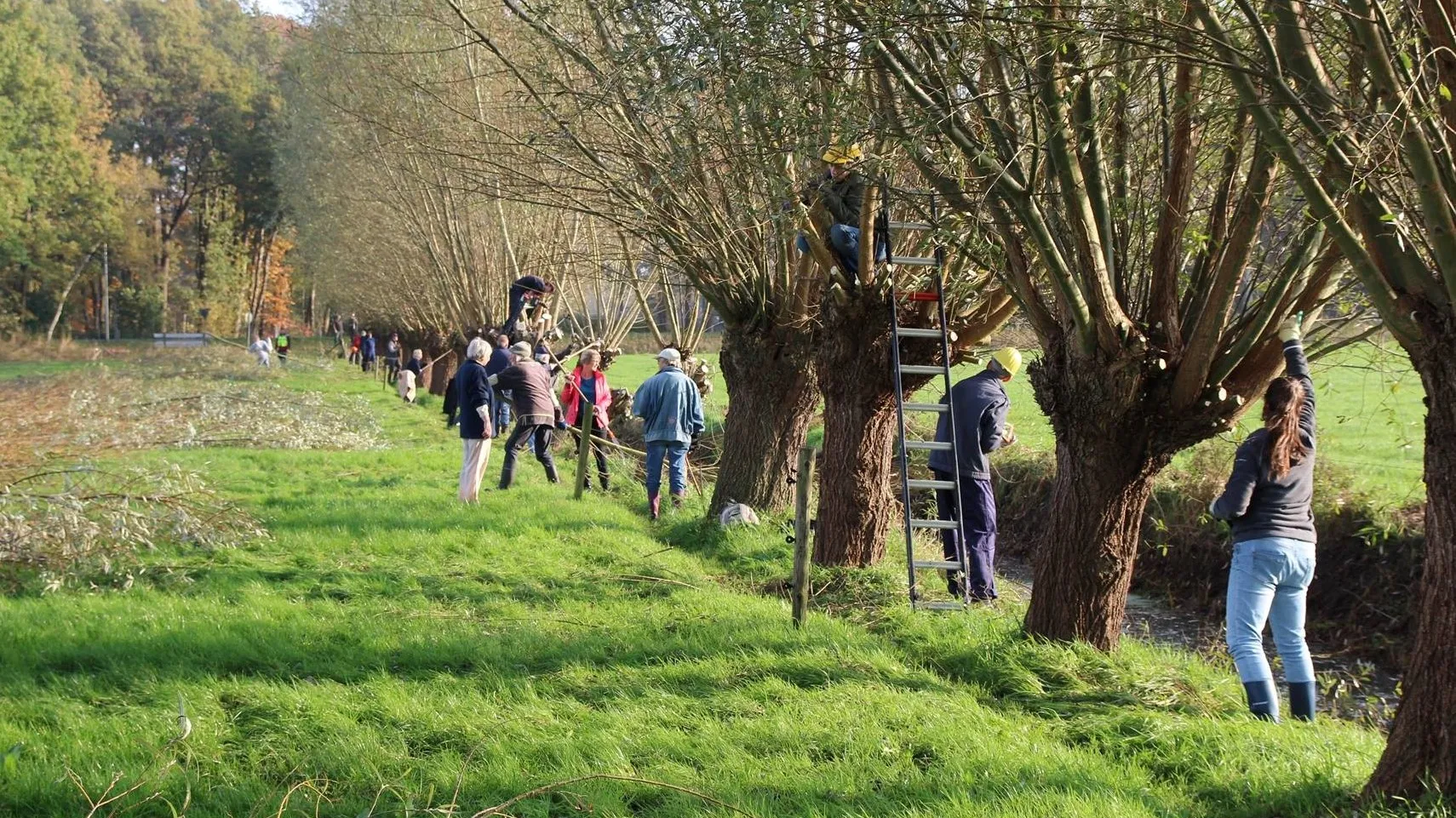 27624704 422881478144582 8596991251103875335 o