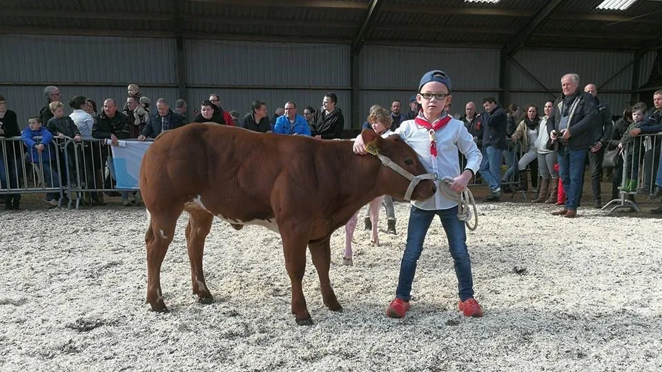 29571109 587132998307333 8802073007607191273 n