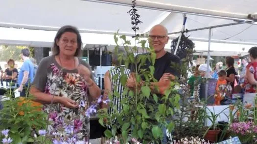 2ba86eaa 6ef3 4866 aff3 a23b53afca07