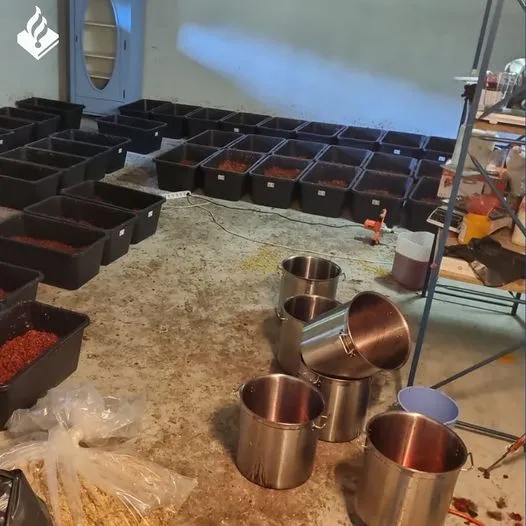 301795819 447749297387513 3805714228083768096 n