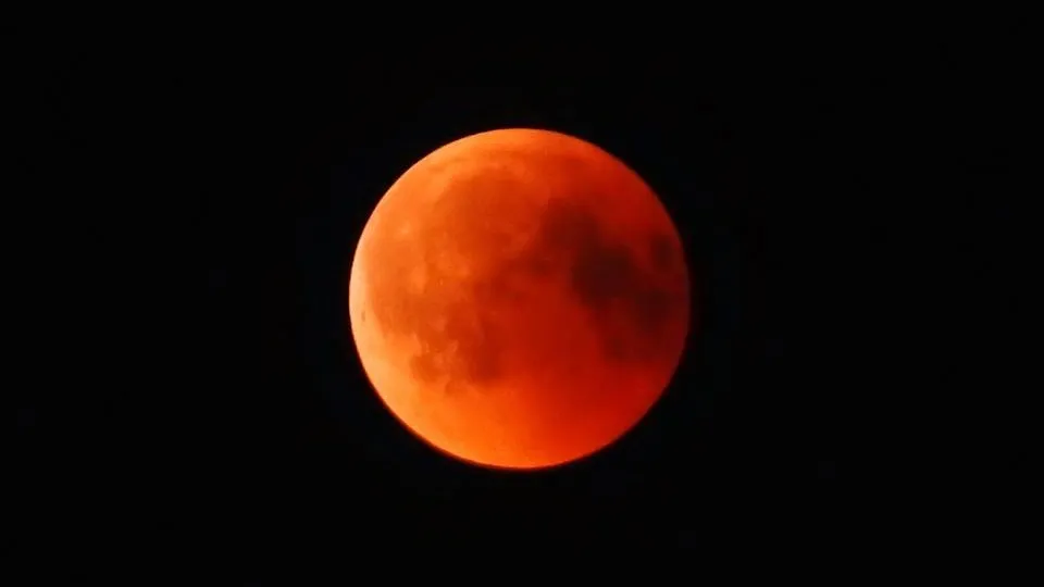 37884219 1782053798496392 3120179640442814464 n