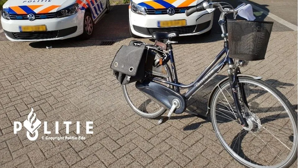 37918098 1126076544200124 7888690570002956288 n