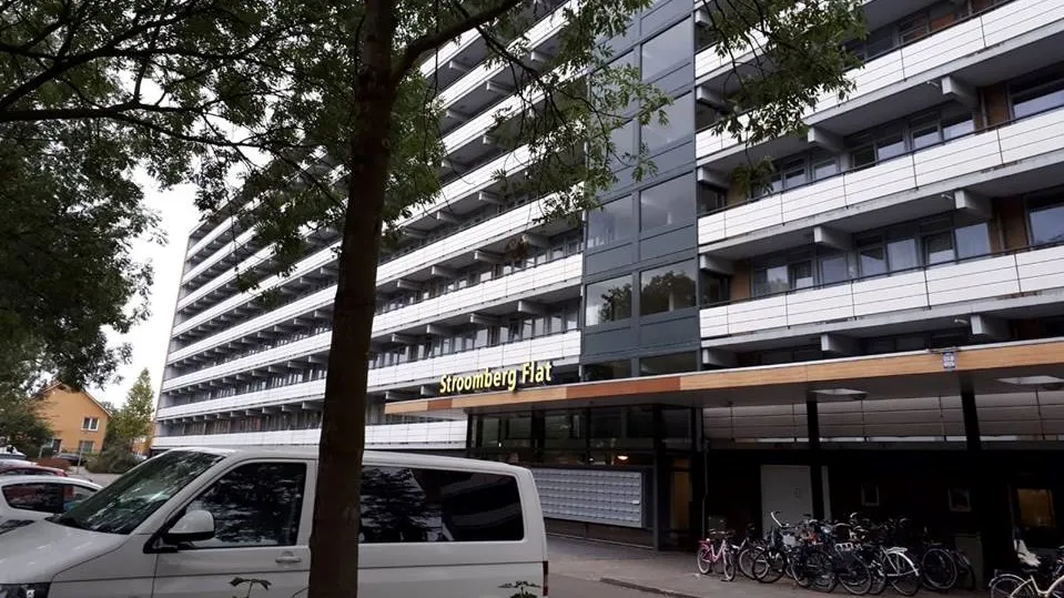 40234485 1161949857279459 8507810174440833024 n