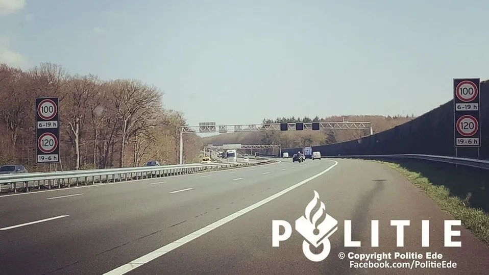 92516512 1682109381930168 1924376834460352512 o