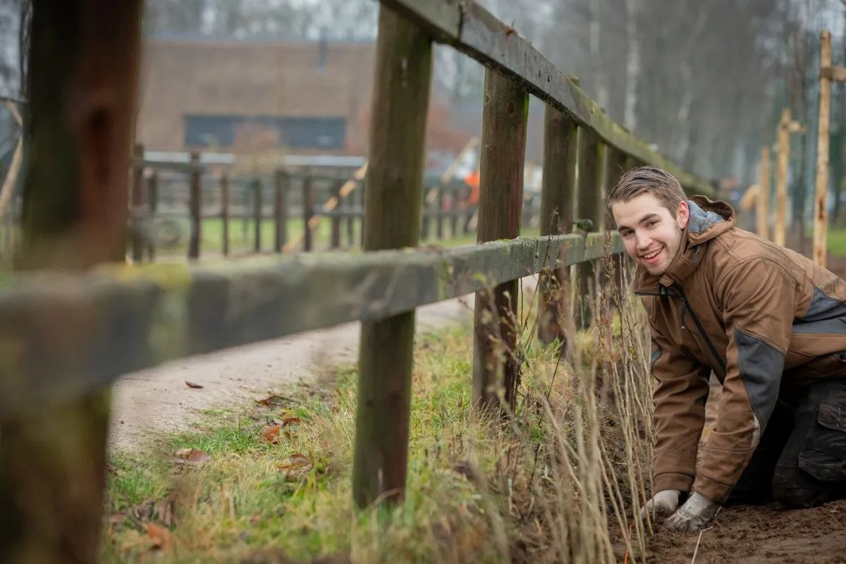 aanplant haag david van haren