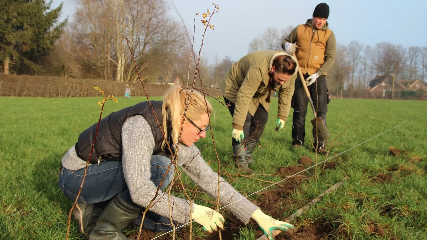 aanplanten 6