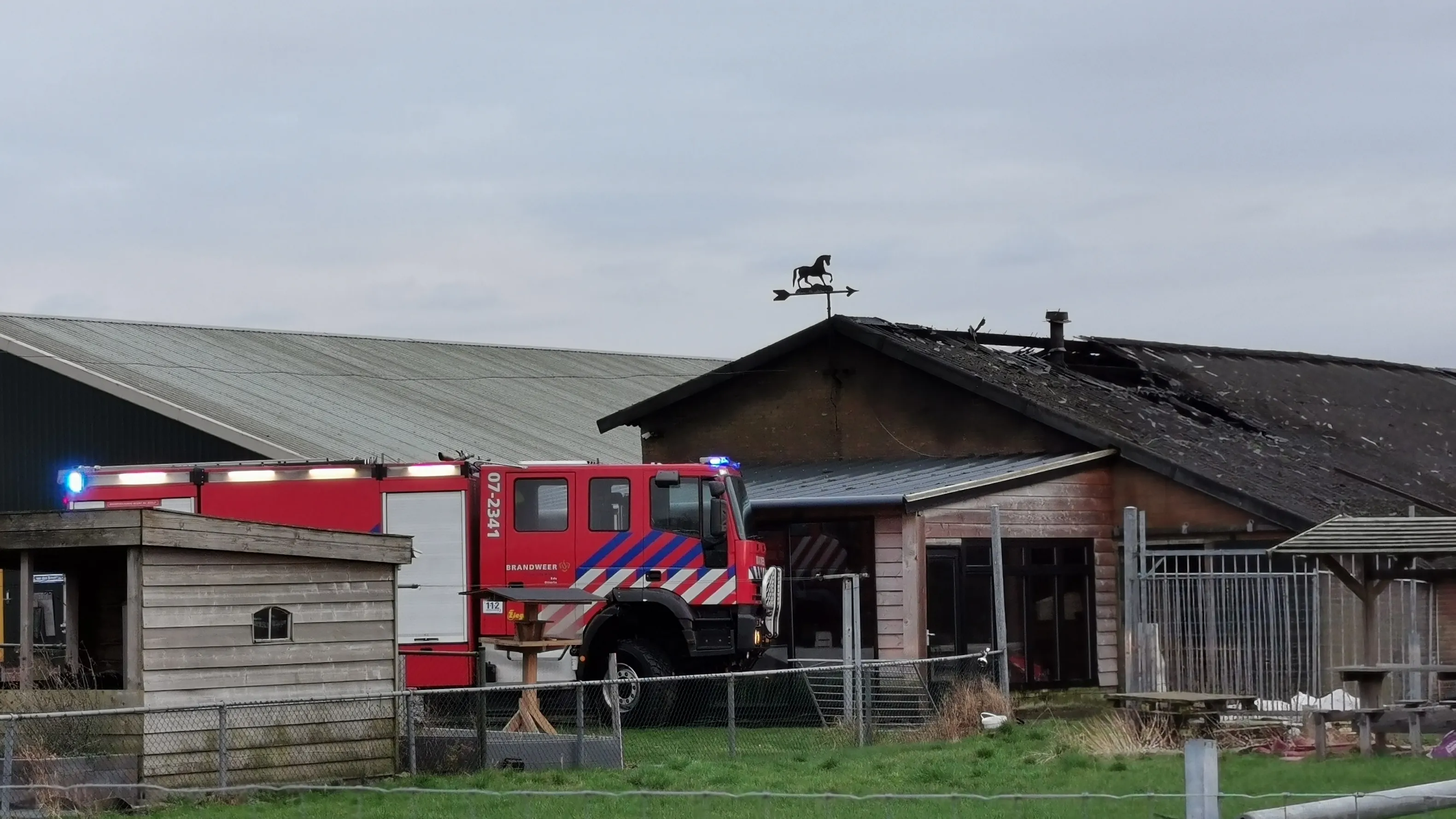 asmedia otterlo brand
