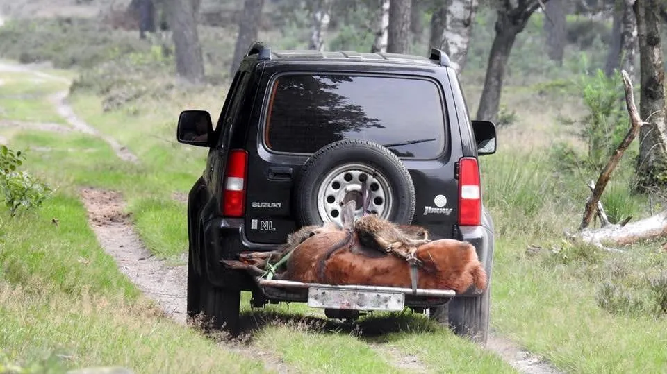 auto jachtfoto michael de vries