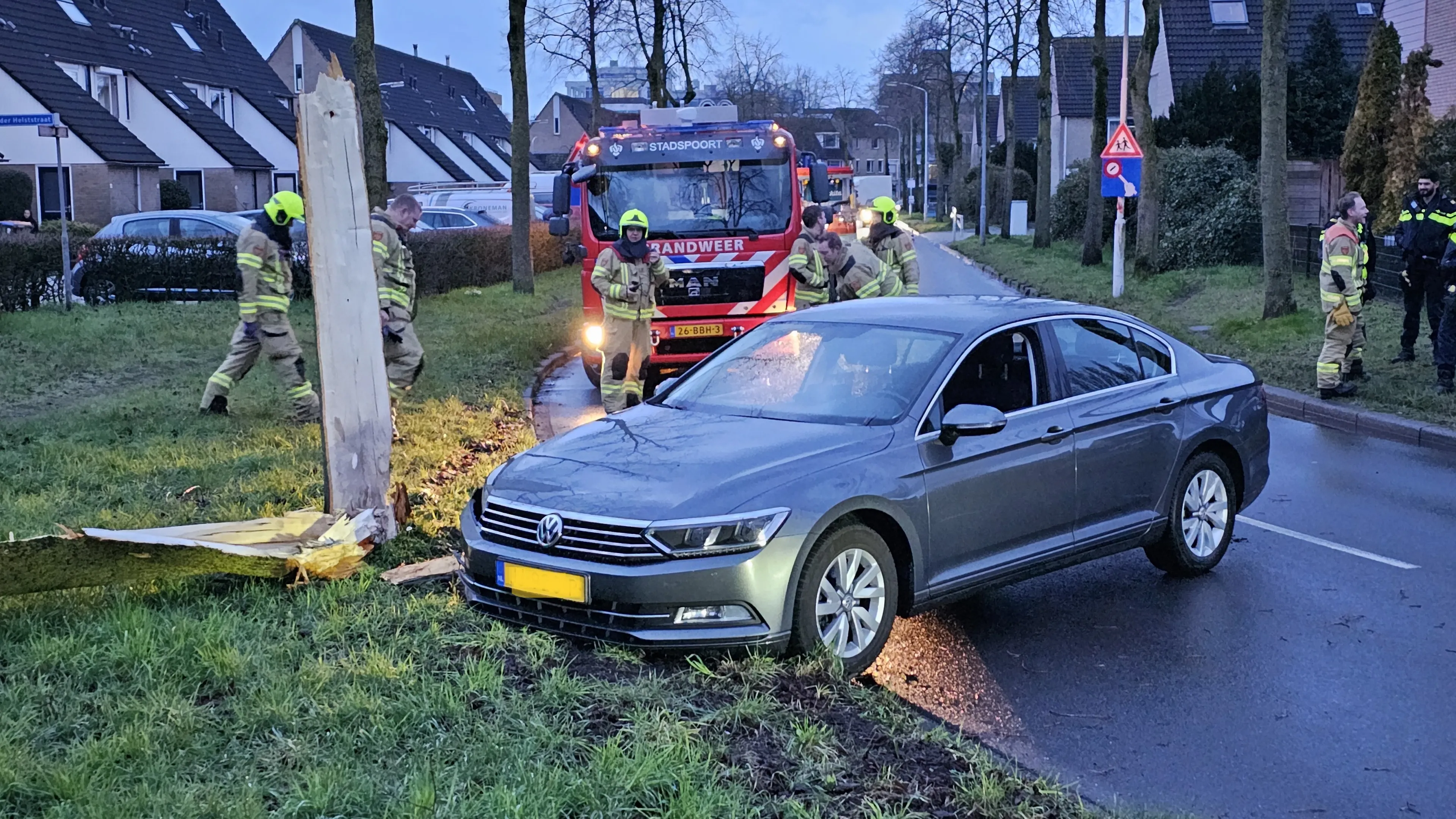 auto tegen boom