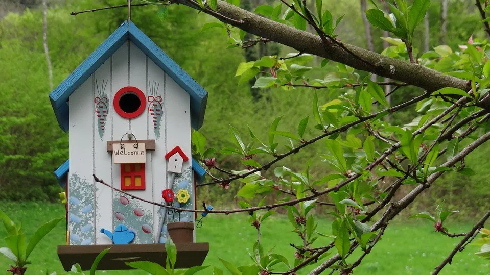 aviary 329236 960 720