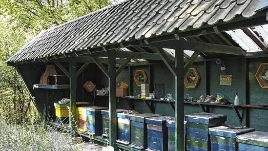 bijen boer