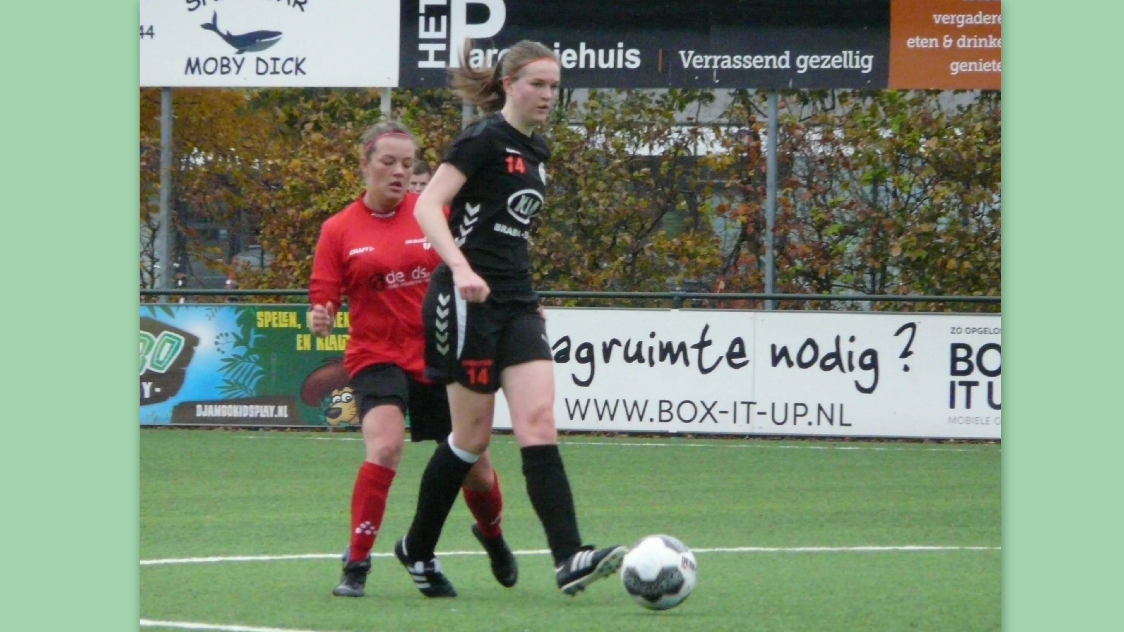 boekje uit het nest geklikt5