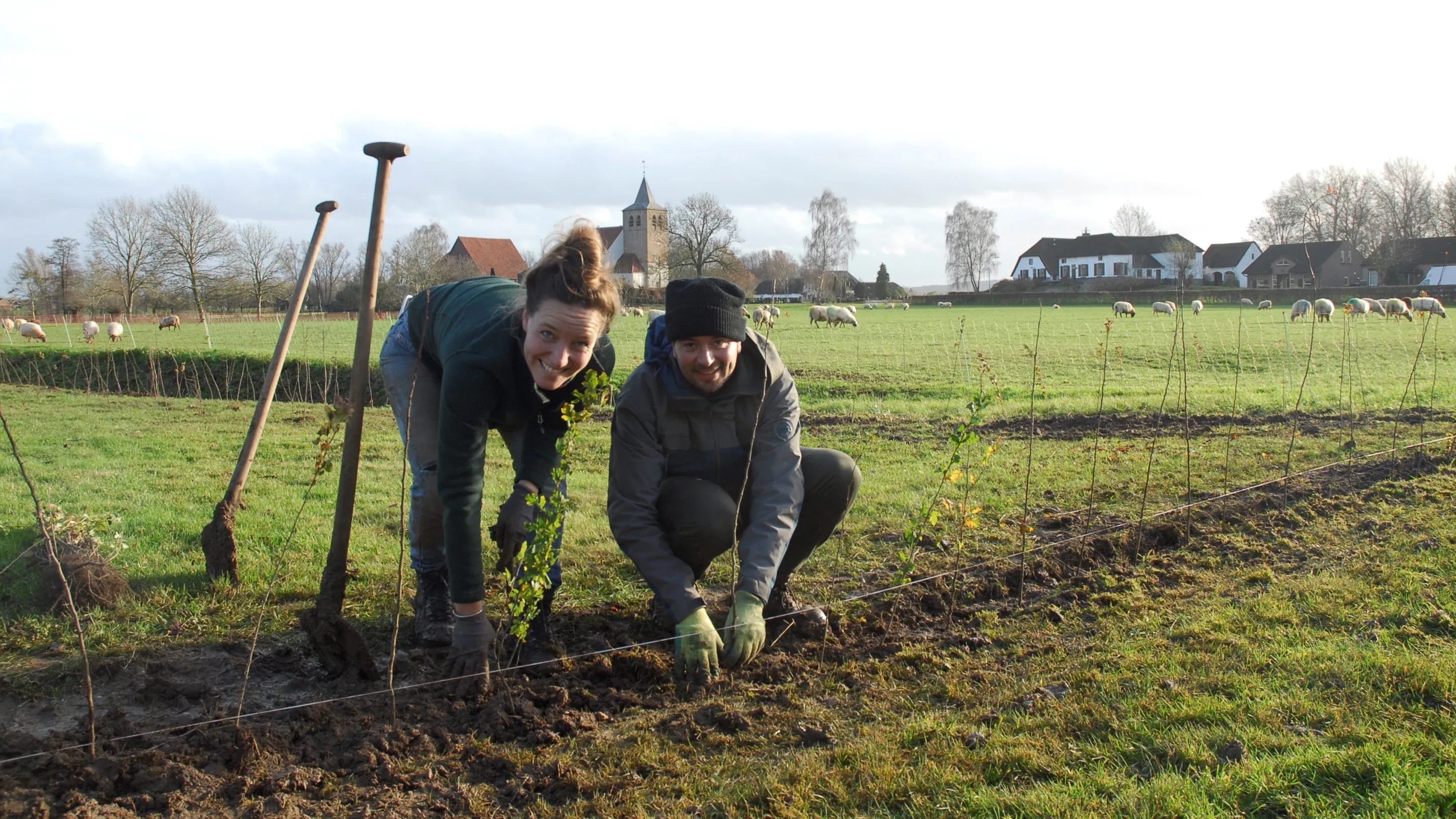 bomen planten gelderland