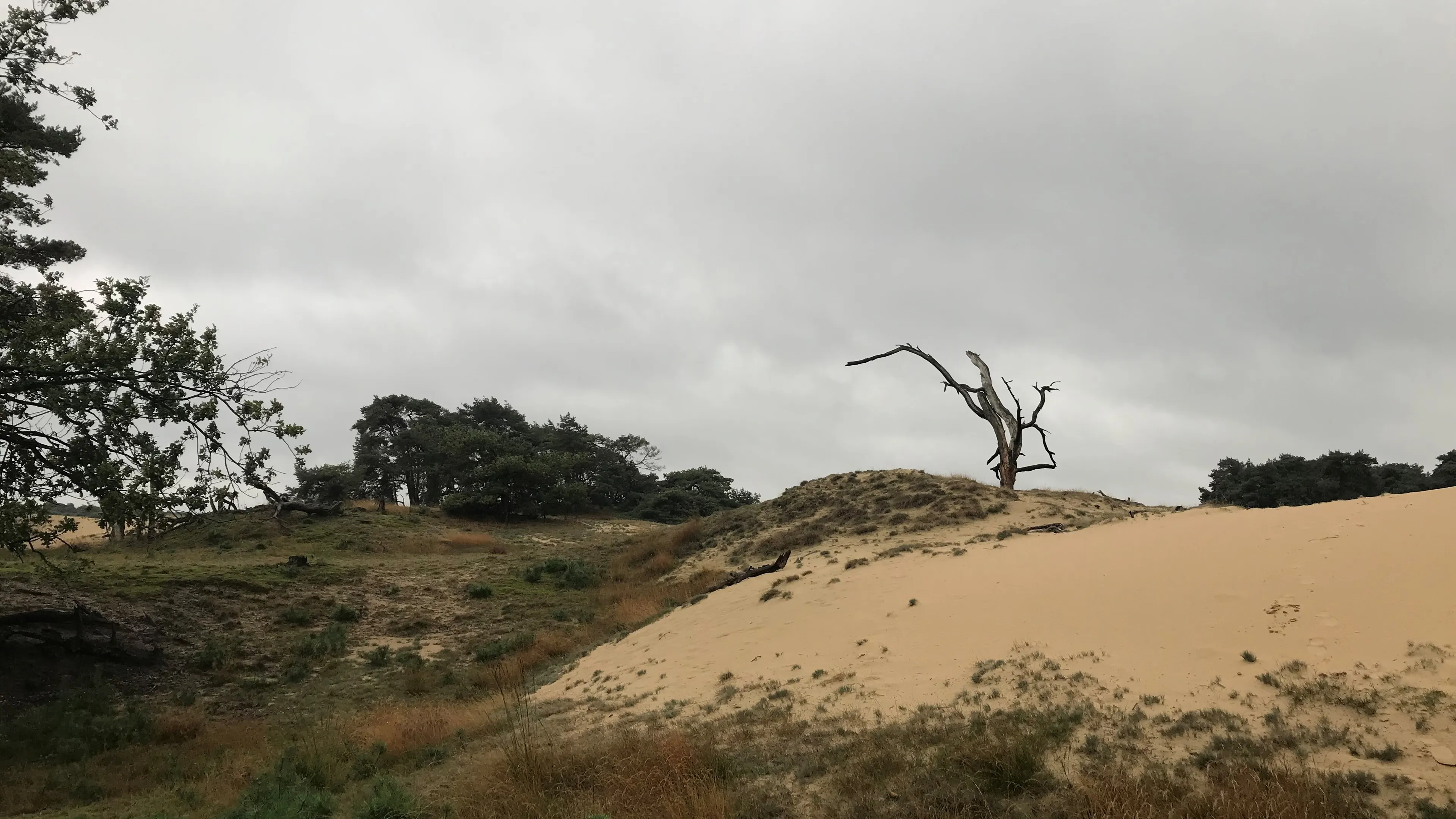 boom wekerom img 3951