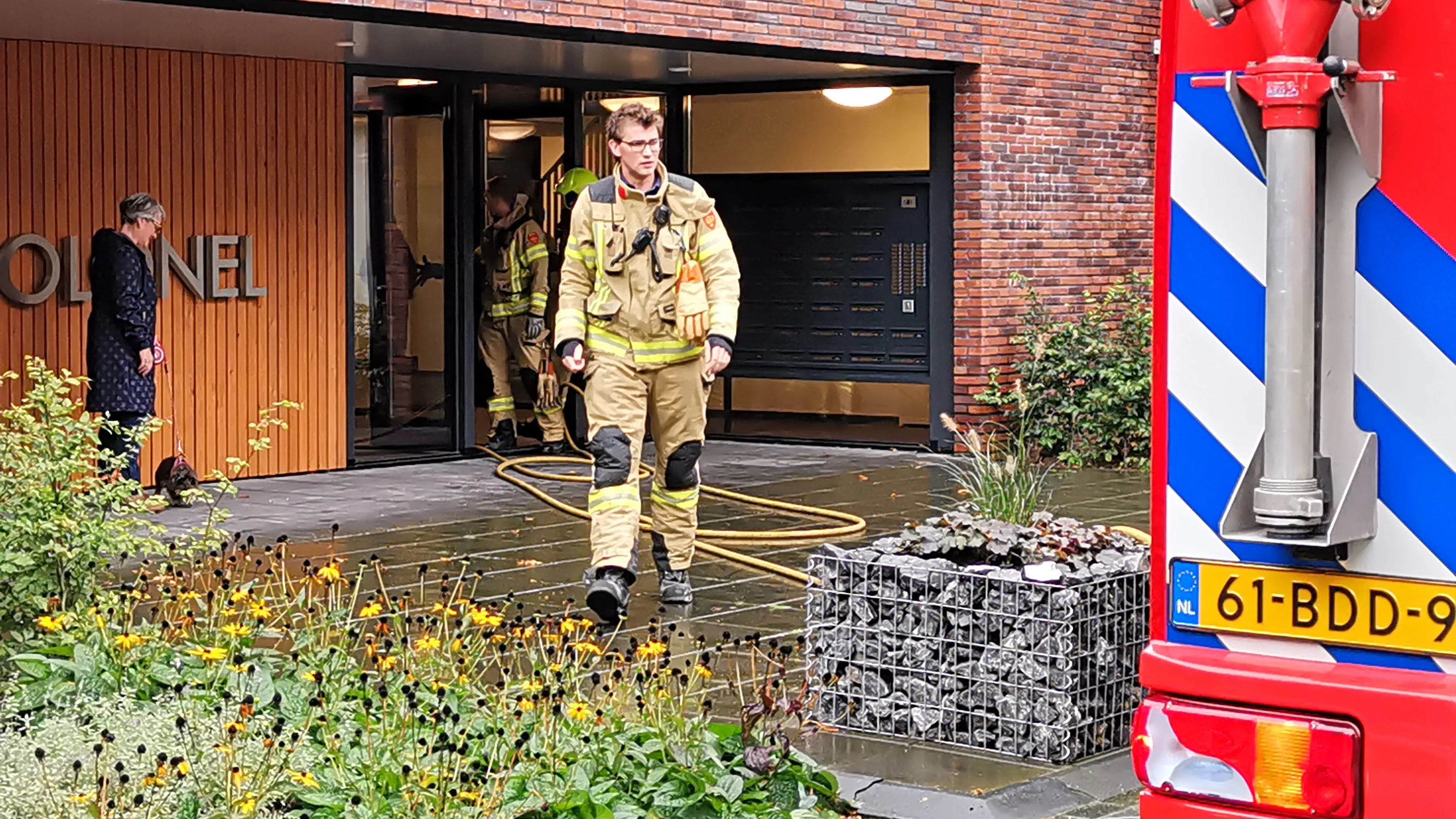 brand ede
