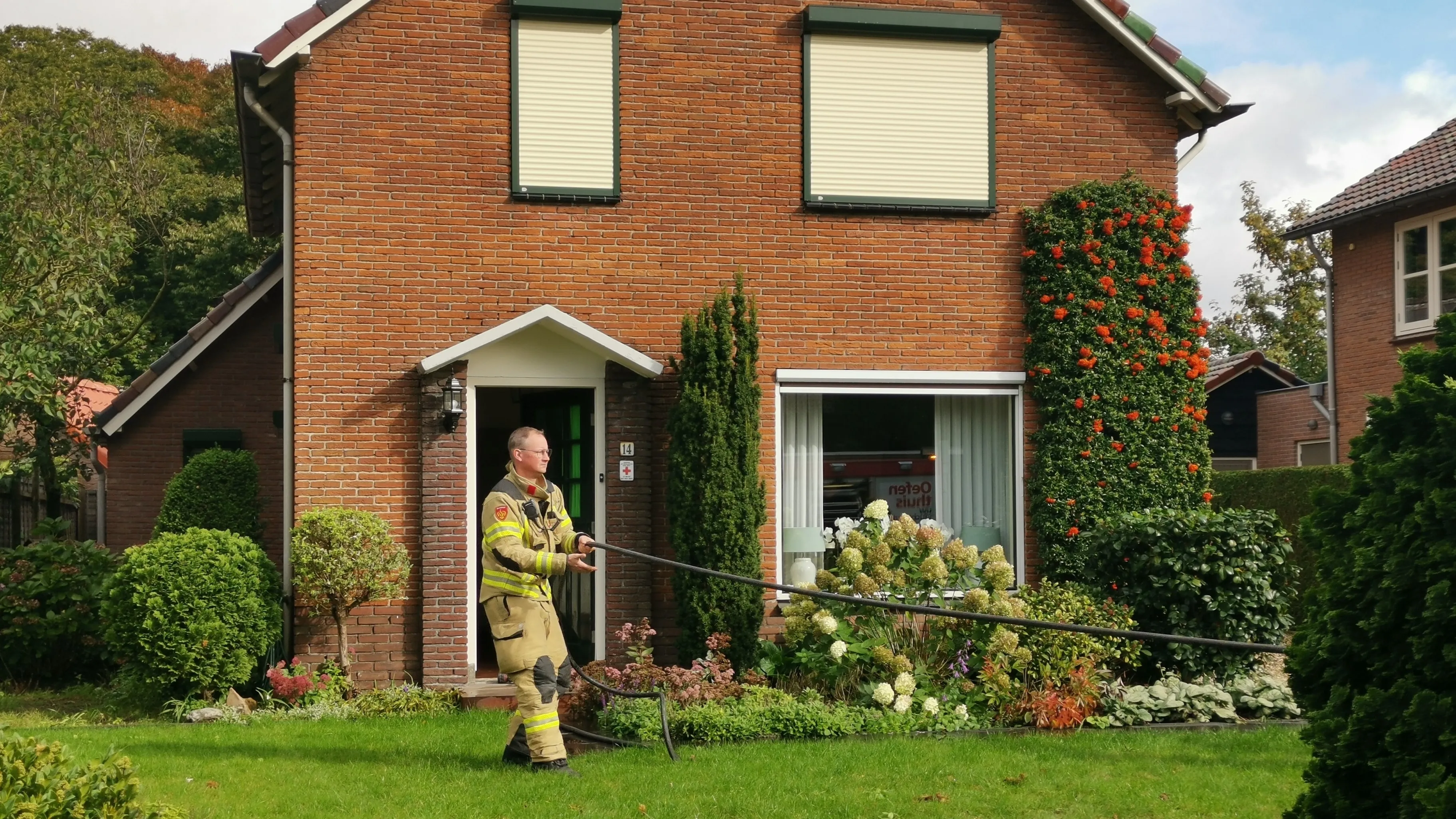 brand ede
