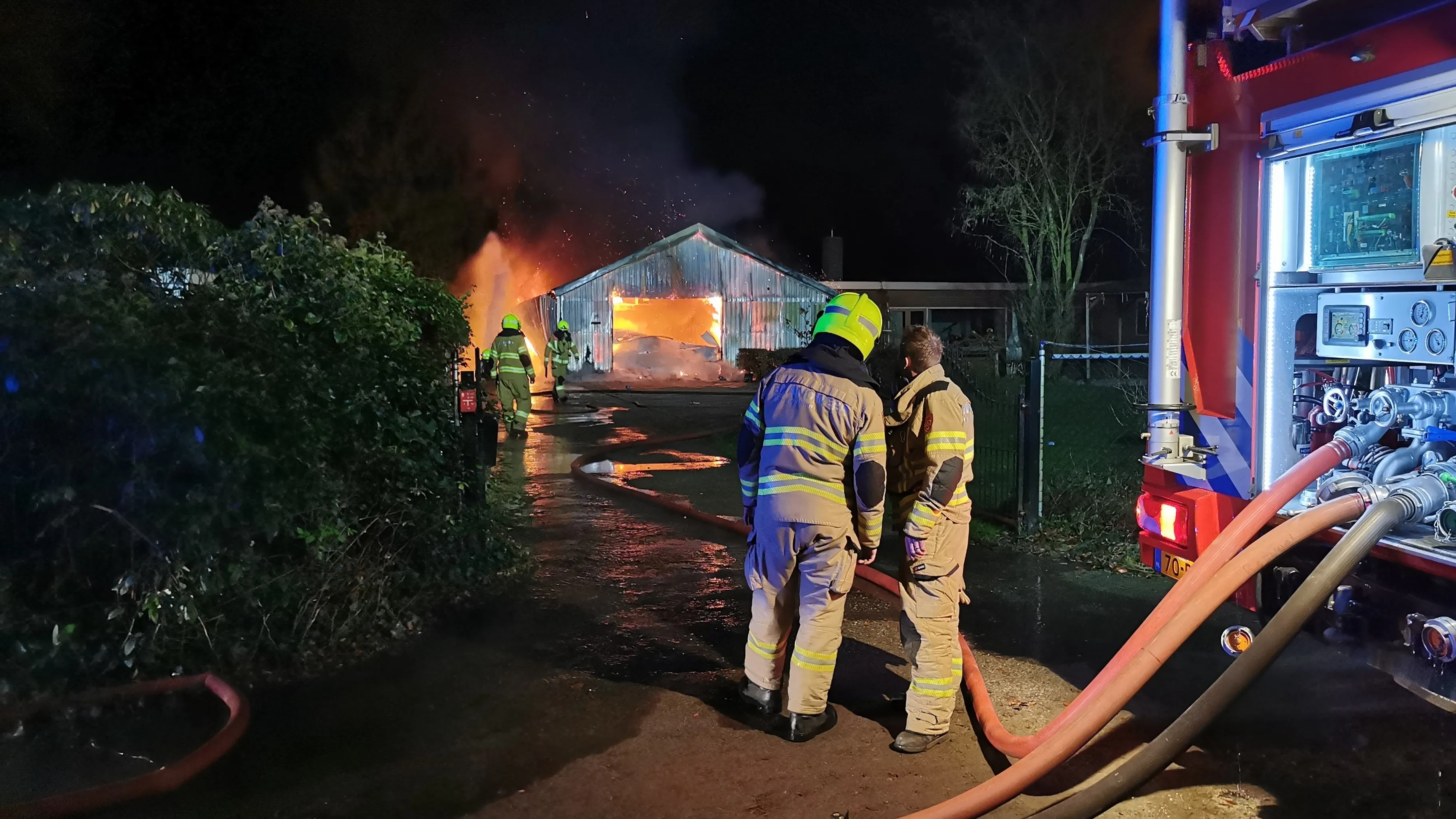 brand ede