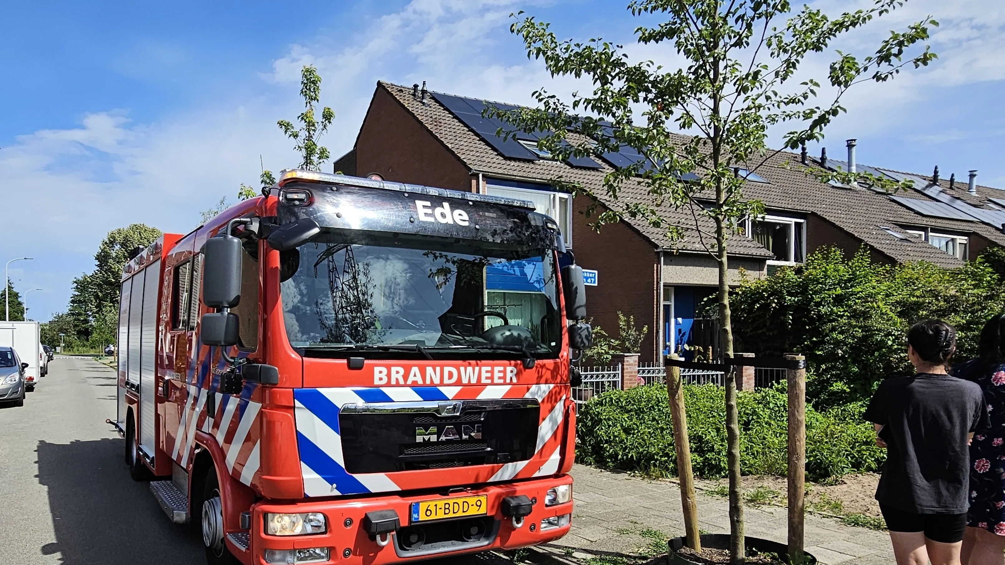 brand ede