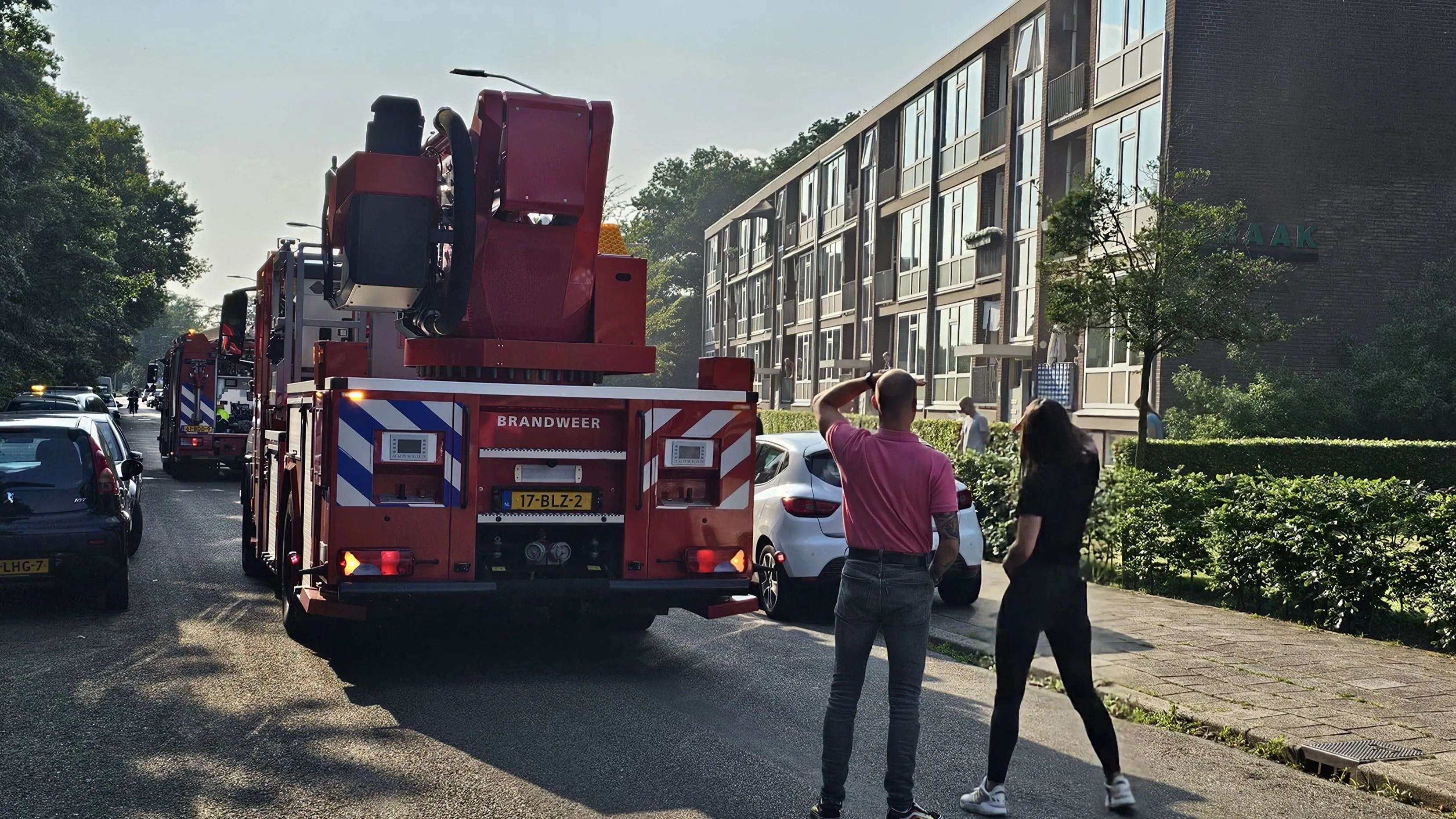 brand flat ede