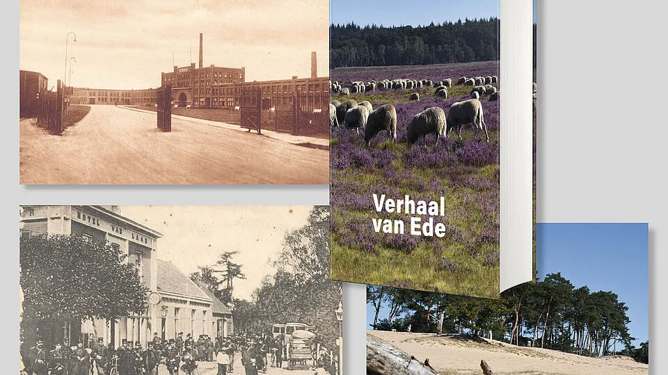 csm a collage 4bc55ec5dd