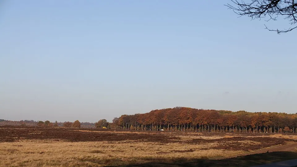 csm a hei herfst 3d2abfa7a7