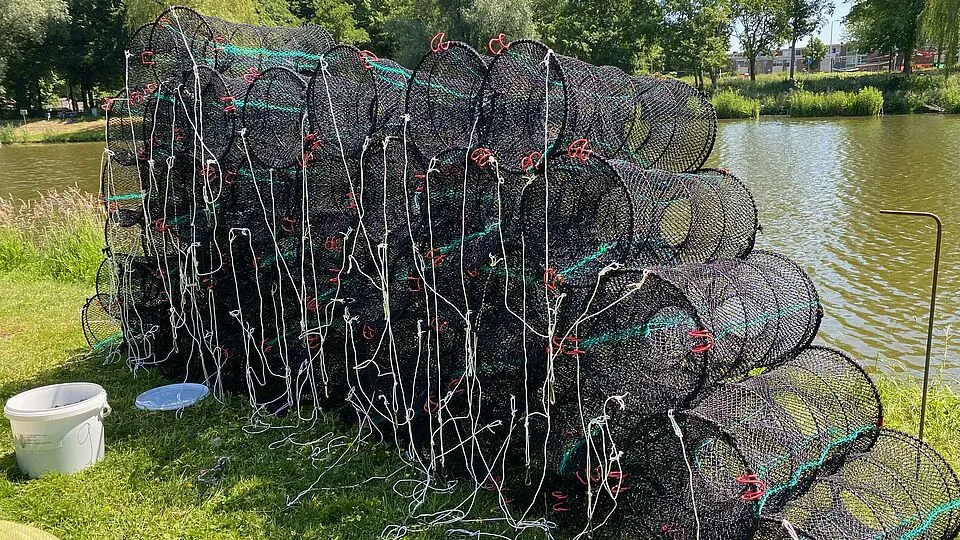 csm b rivierkreeft ab1144ebb8