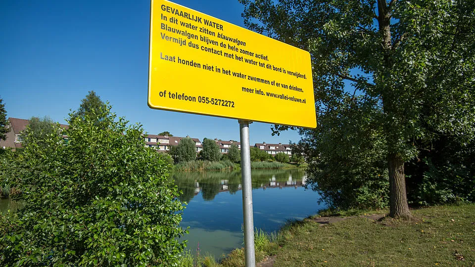 csm pb085 blauwalgen aangetroffen in de victoria vesta vijver ea57bfa8b1