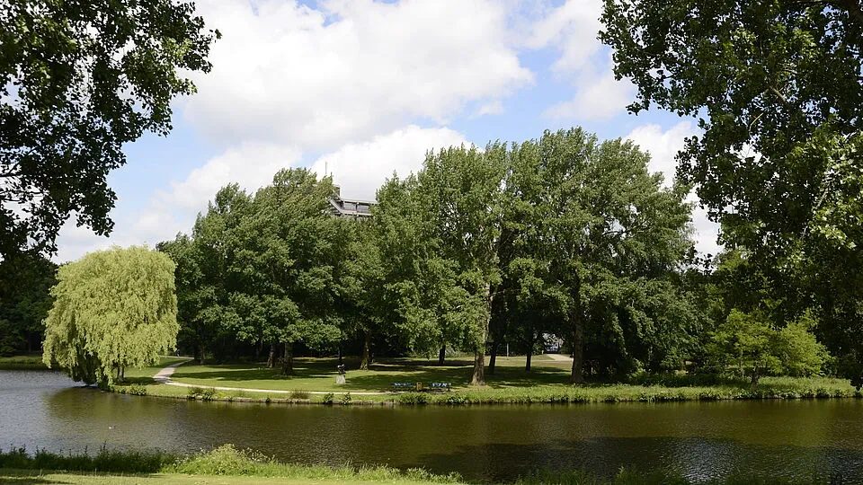 csm proosdijpark vijver bv jhv5129 f406ff093c