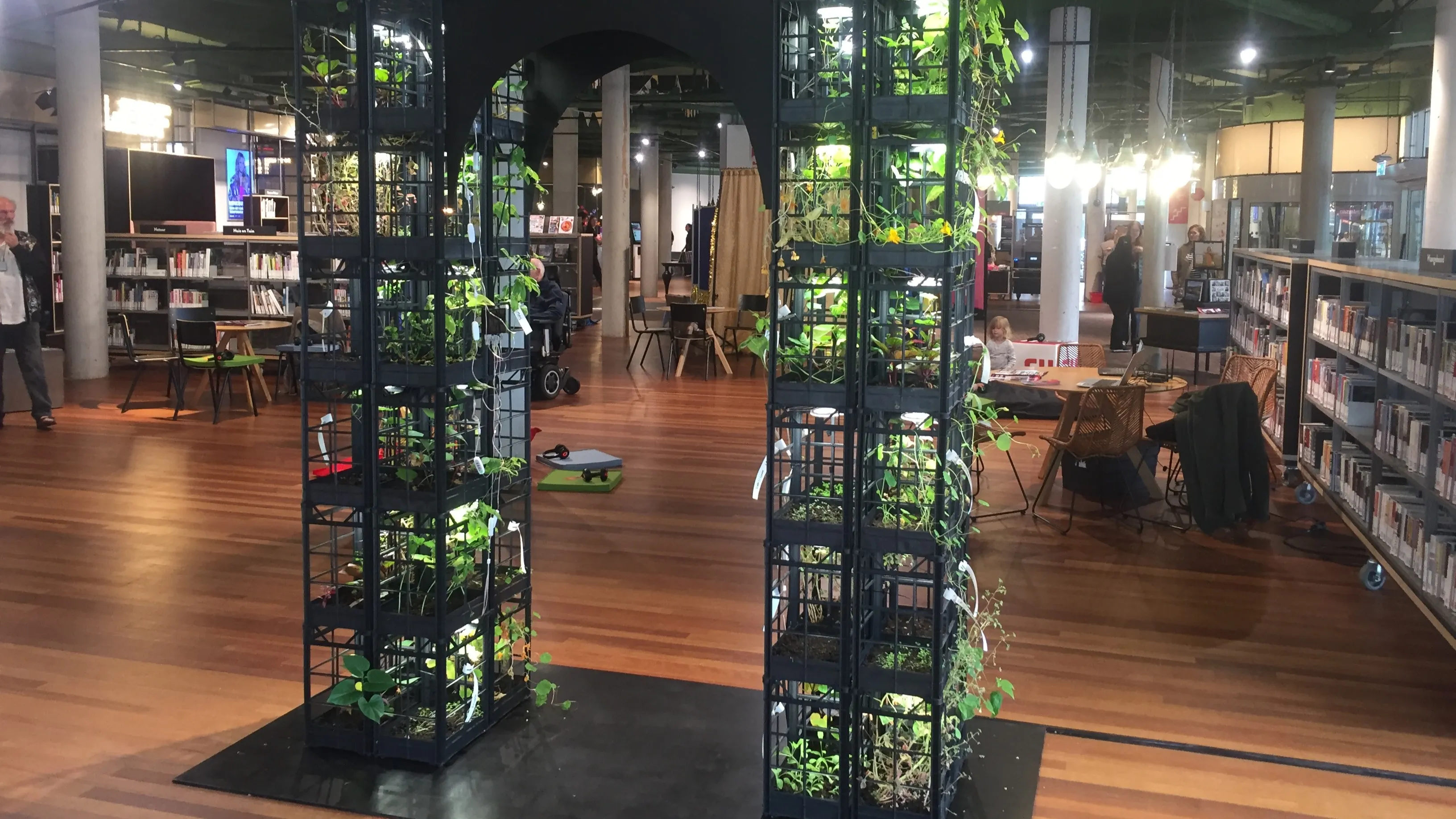 de groeiboog mg 7138