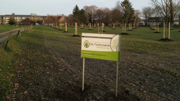 de nootsaeck