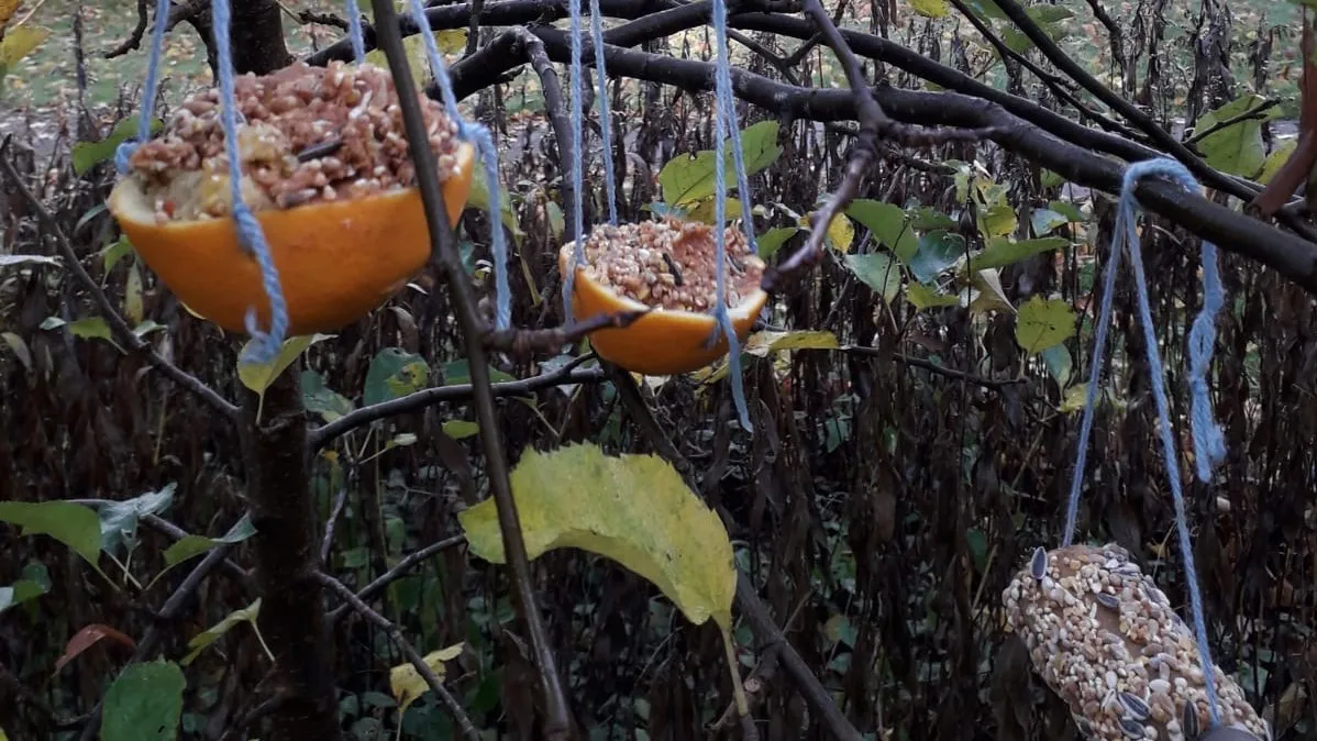 erfgoed kerstdiner vogels
