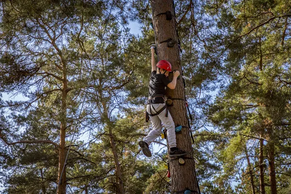 festival monkeyclimb