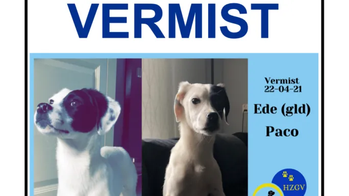 flyer paco ede 685x1024 1