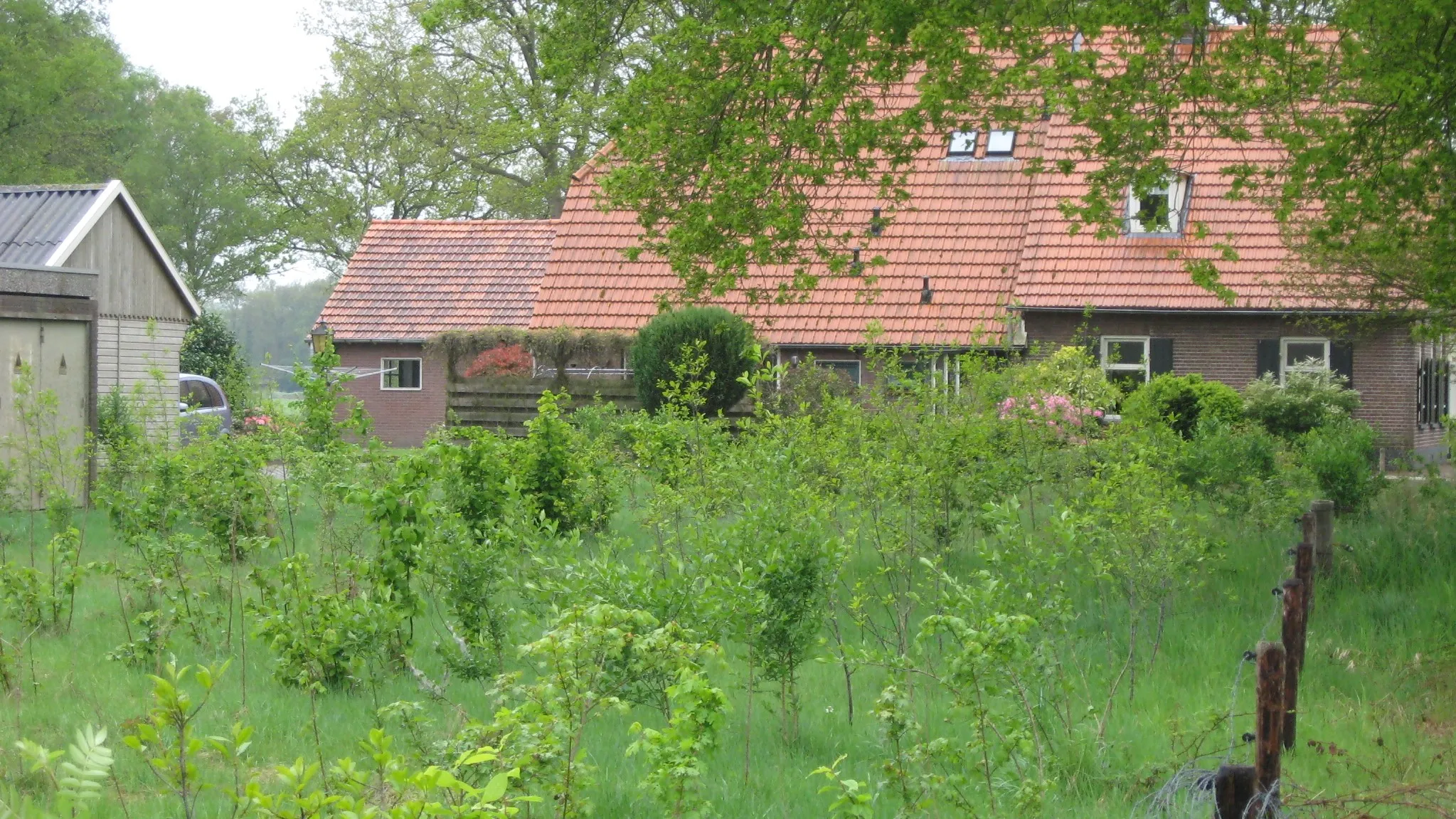 foto 3 pas aangeplant vogelbosje