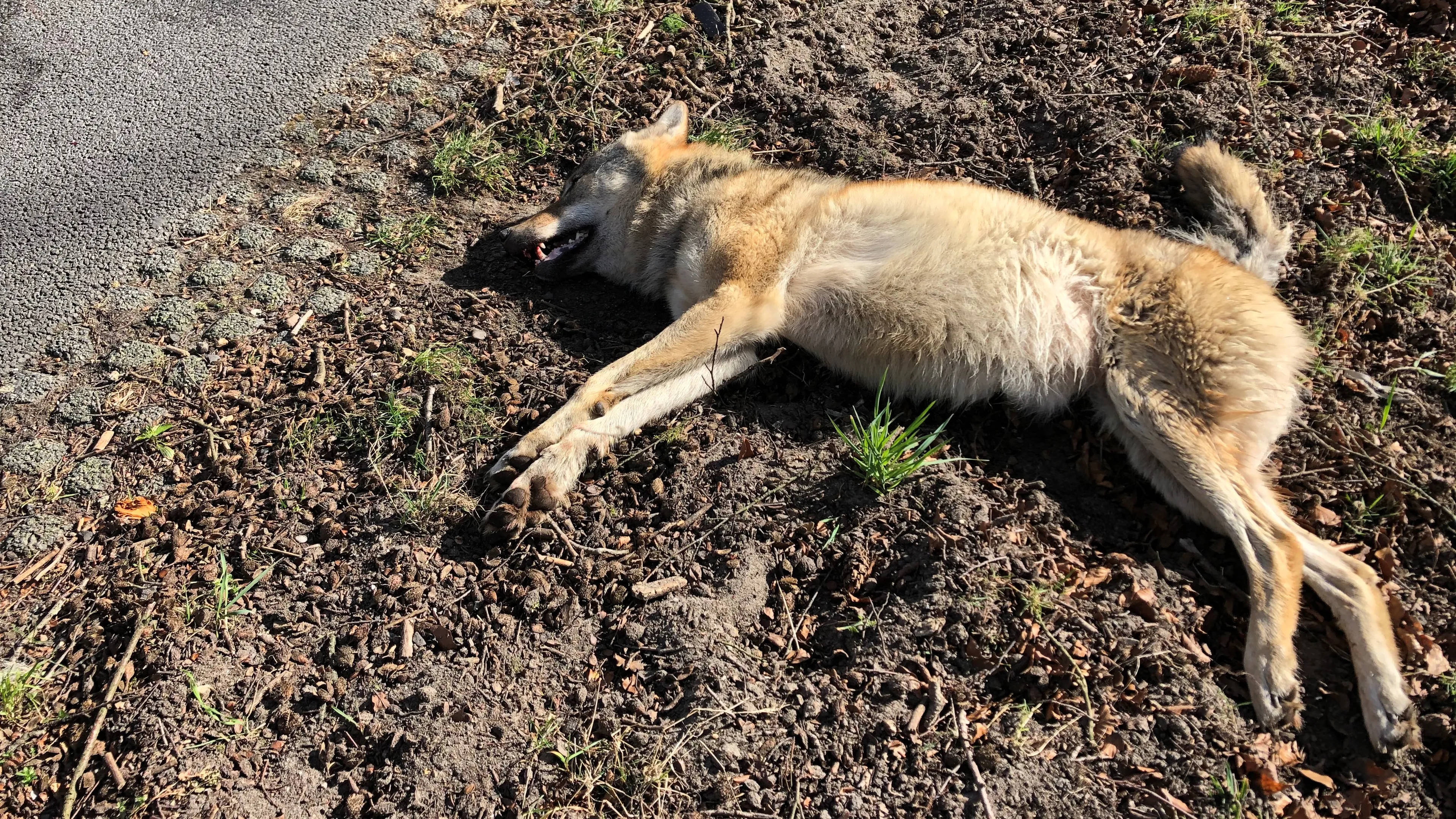 foto jan otten gemeente ede