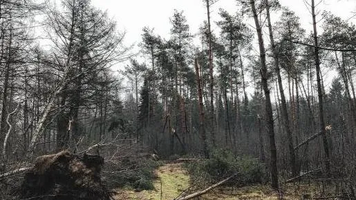 foto jbouw