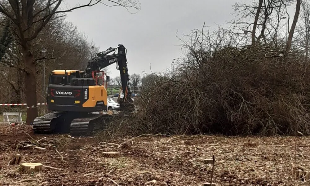gekapte bomen voor de parklaan