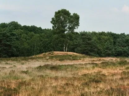 grafheuvel lunteren