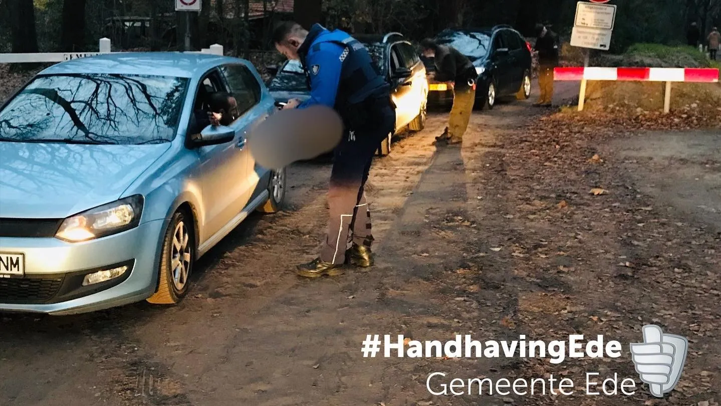 handhving