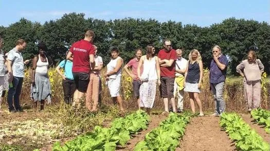 herenboeren