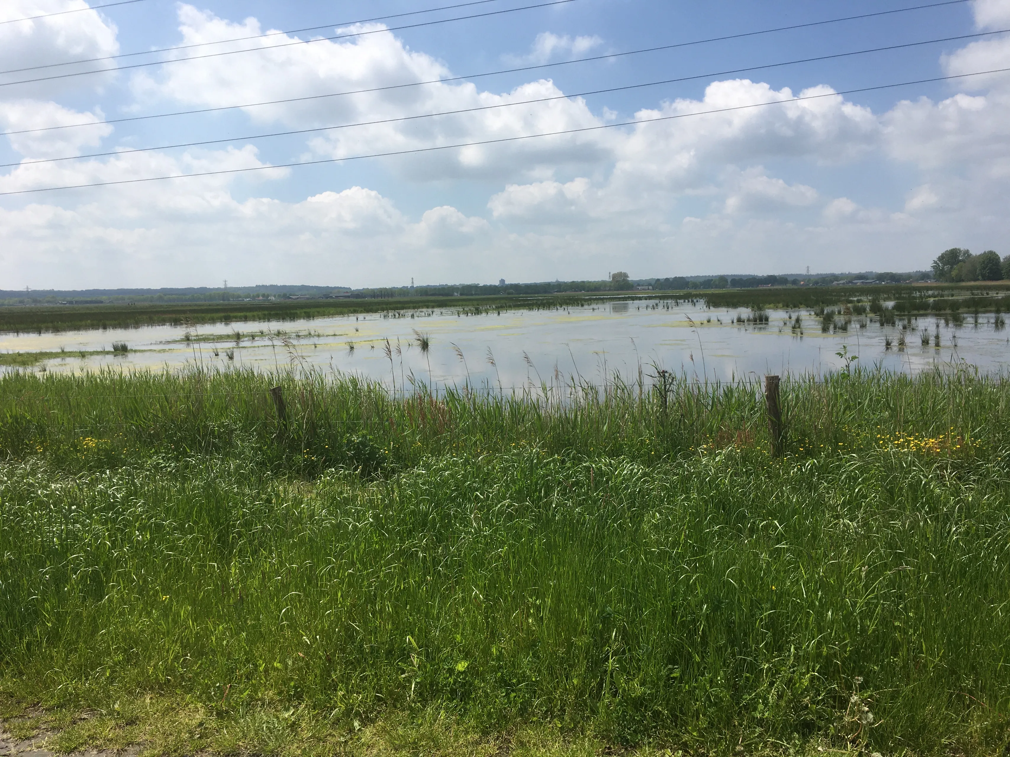 het binnenveld binnenveldse hooilanden