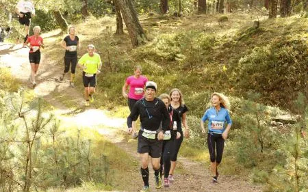 hoge veluwe1