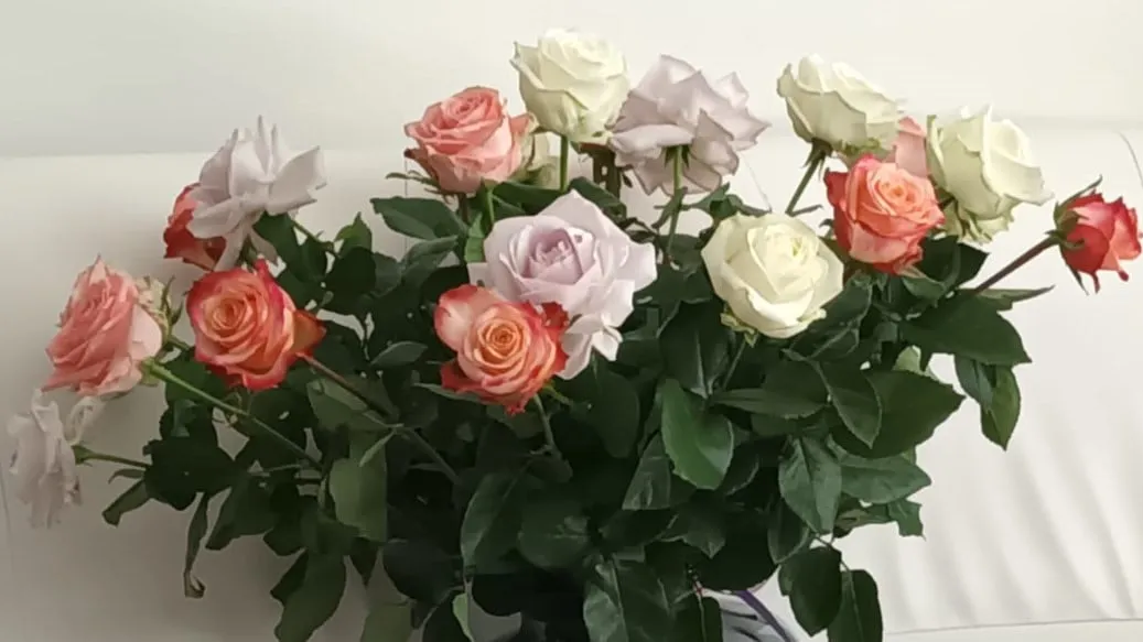 Van harte gefeliciteerd! Redactie Ede.Nieuws.nl