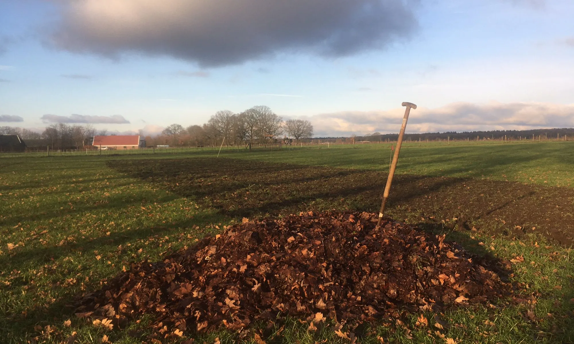 img 6706 2000x1200 1