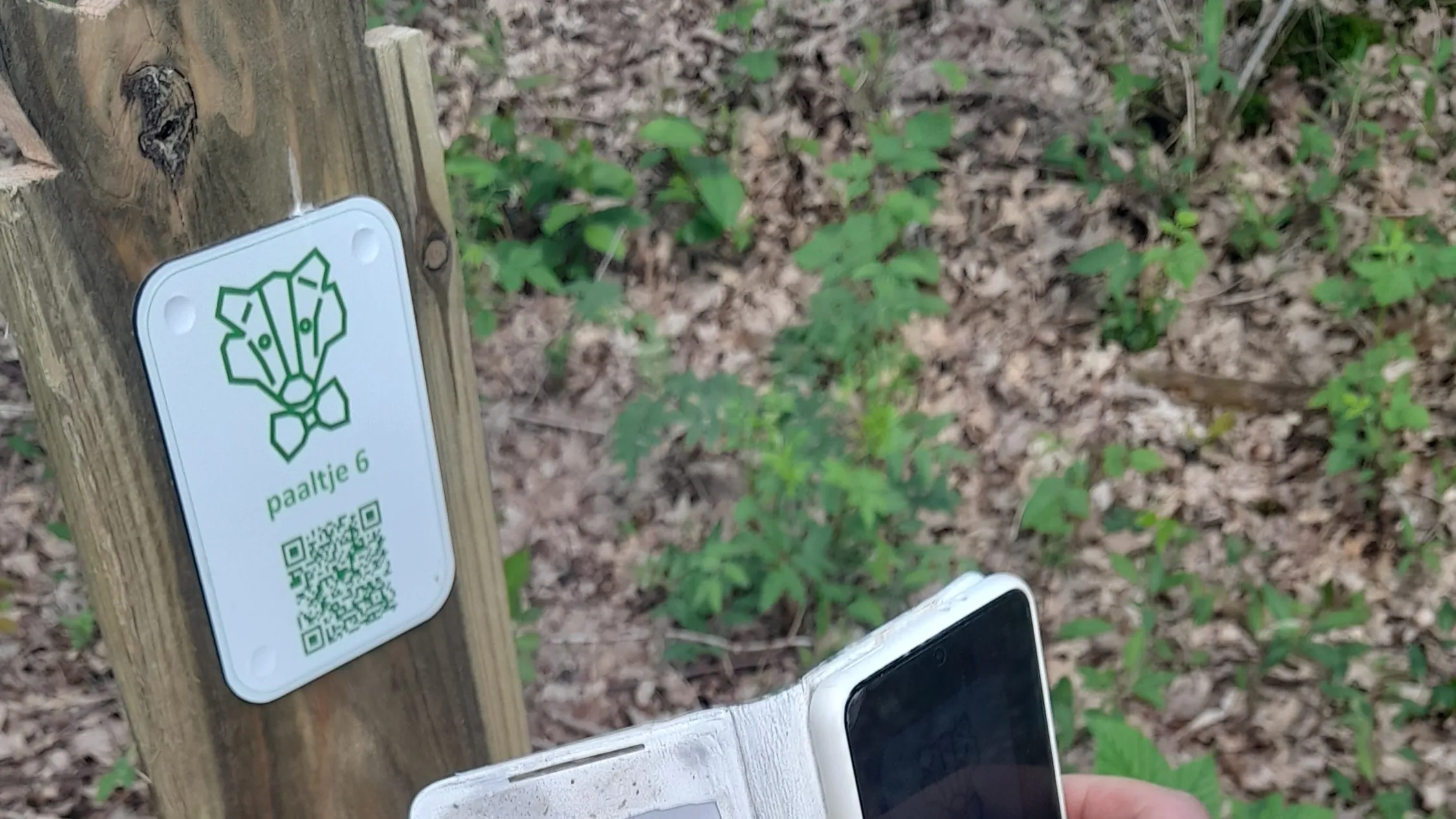 ivn qr code scannen 1