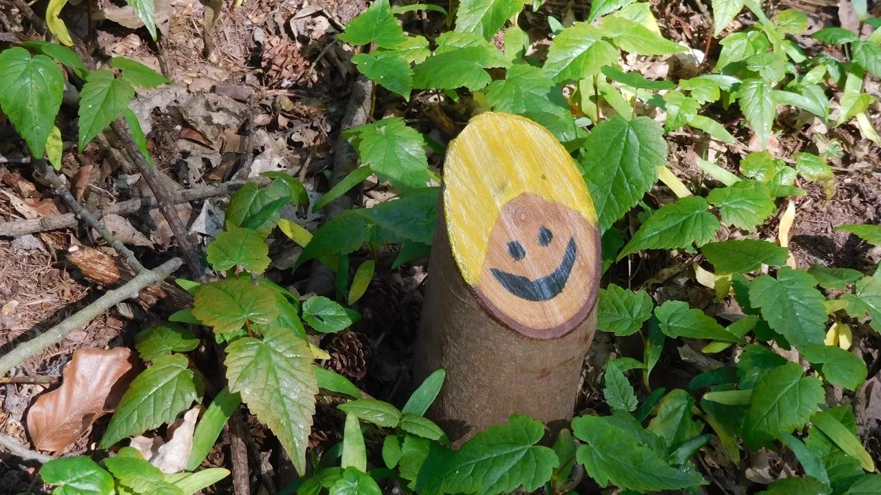 kabouter voorjaarsbos